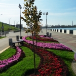 Цветники на набережной (2011).