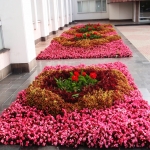 Цветник вдоль здания Госсовета УР (2010). Цветник вдоль здания Госсовета УР (2010).