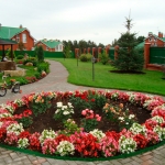 Дизайн однолетними цветами. Дизайн однолетними цветами.