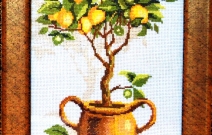 Лимонное дерево.